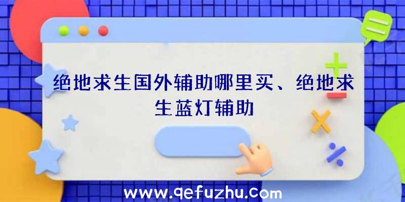 绝地求生国外辅助哪里买、绝地求生蓝灯辅助