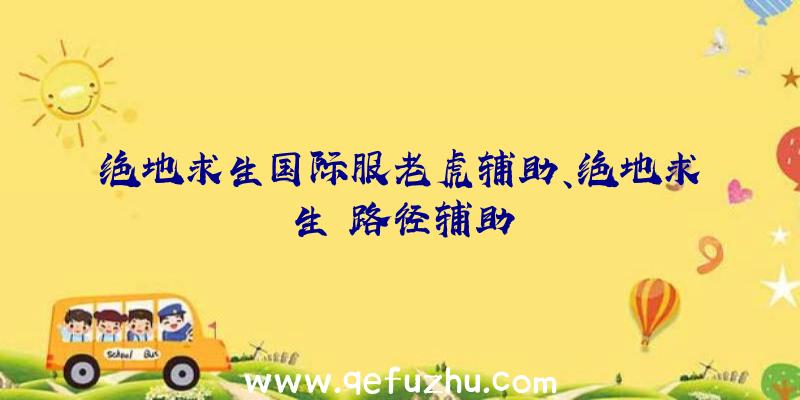 绝地求生国际服老虎辅助、绝地求生