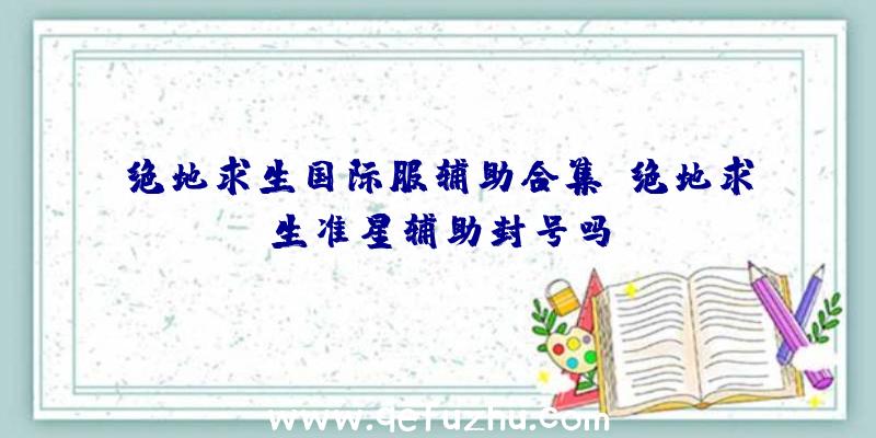 绝地求生国际服辅助合集、绝地求生准星辅助封号吗