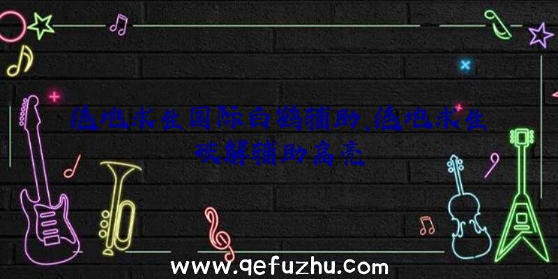 绝地求生国际白鹤辅助、绝地求生破解辅助高亮
