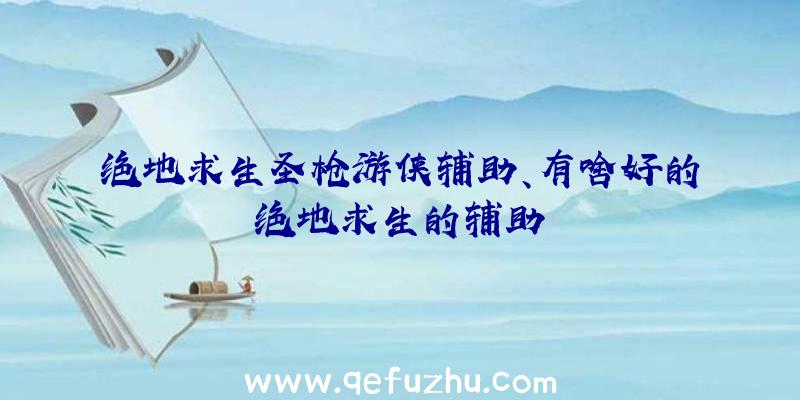 绝地求生圣枪游侠辅助、有啥好的绝地求生的辅助