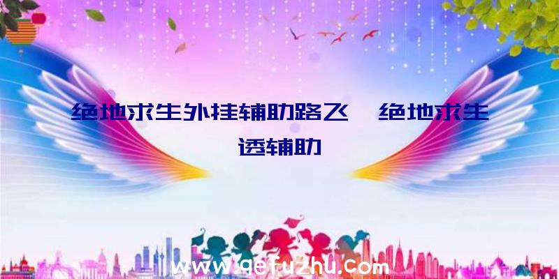 绝地求生外挂辅助路飞、绝地求生透辅助