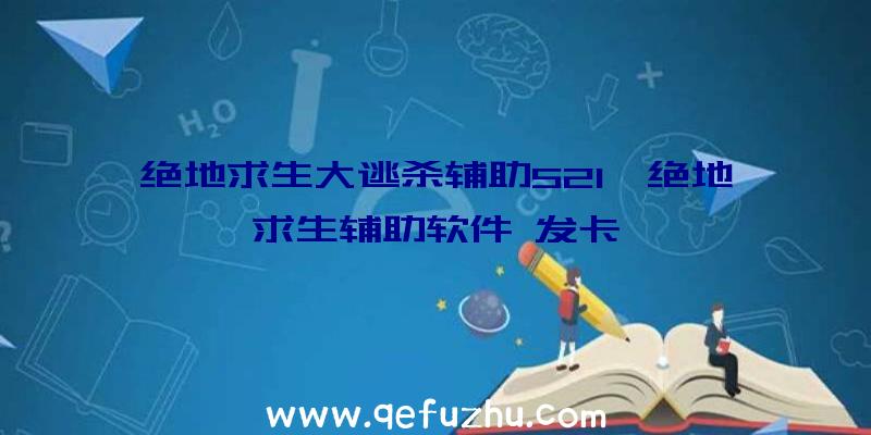 绝地求生大逃杀辅助521、绝地求生辅助软件