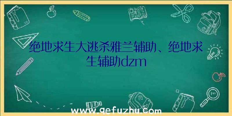 绝地求生大逃杀雅兰辅助、绝地求生辅助dzm
