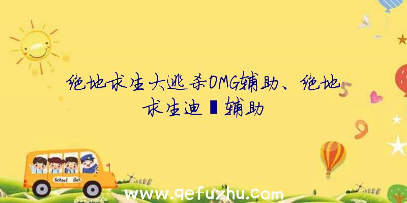 绝地求生大逃杀OMG辅助、绝地求生迪迦辅助