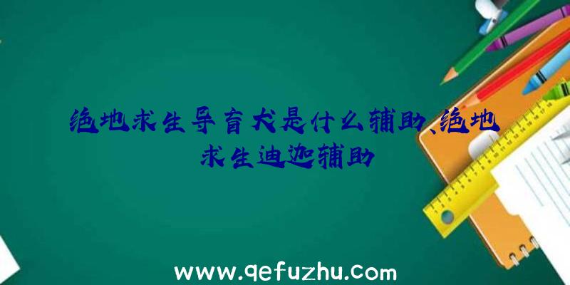 绝地求生导盲犬是什么辅助、绝地求生迪迦辅助