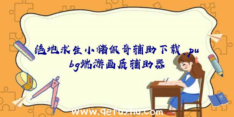 绝地求生小猪佩奇辅助下载、pubg端游画质辅助器