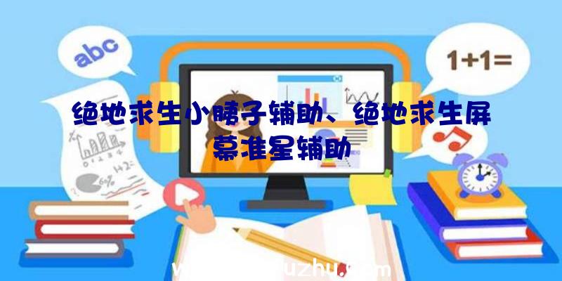 绝地求生小胰子辅助、绝地求生屏幕准星辅助