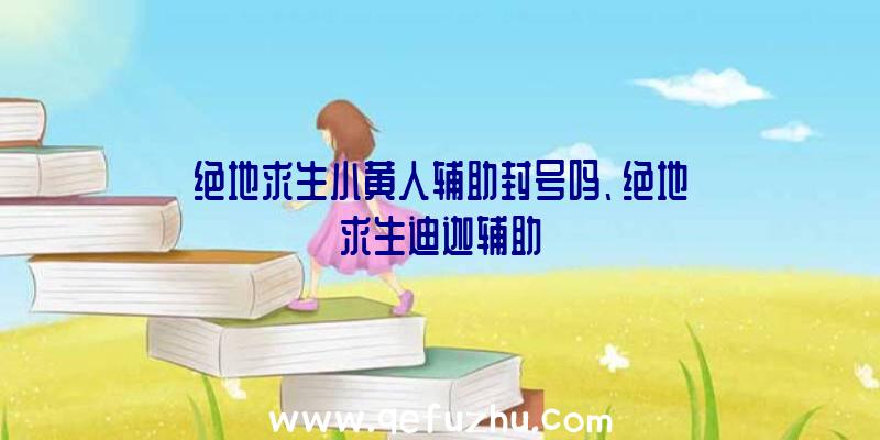 绝地求生小黄人辅助封号吗、绝地求生迪迦辅助