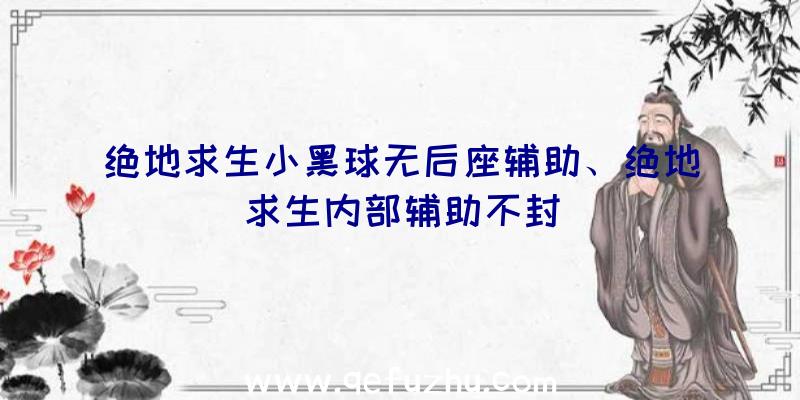 绝地求生小黑球无后座辅助、绝地求生内部辅助不封