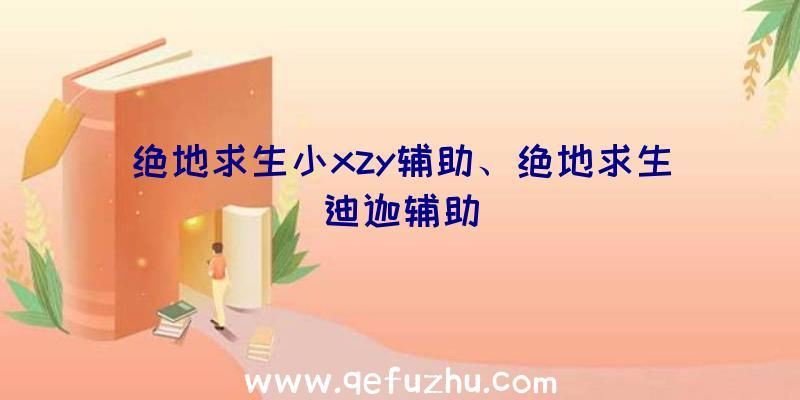 绝地求生小xzy辅助、绝地求生迪迦辅助