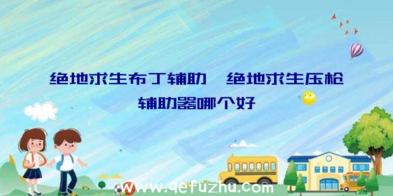 绝地求生布丁辅助、绝地求生压枪辅助器哪个好