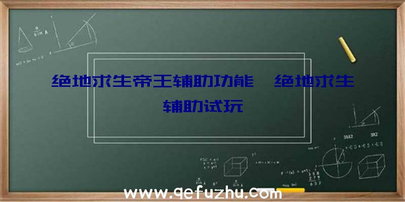 绝地求生帝王辅助功能、绝地求生辅助试玩