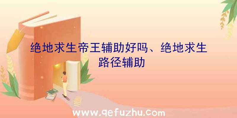绝地求生帝王辅助好吗、绝地求生