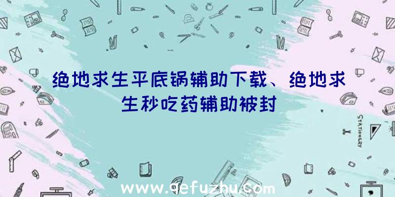 绝地求生平底锅辅助下载、绝地求生秒吃药辅助被封