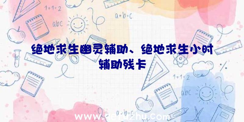 绝地求生幽灵辅助、绝地求生小时辅助残卡