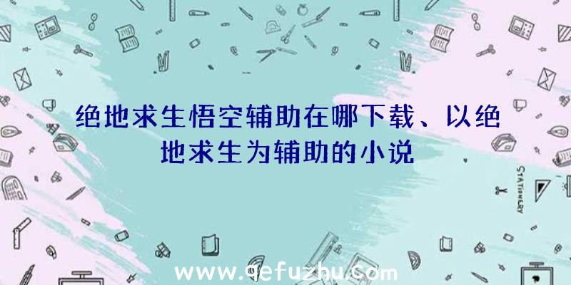 绝地求生悟空辅助在哪下载、以绝地求生为辅助的小说