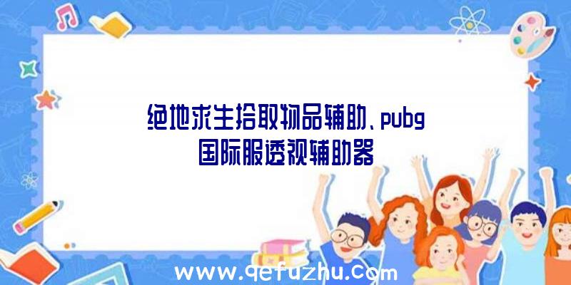 绝地求生拾取物品辅助、pubg国际服透视辅助器