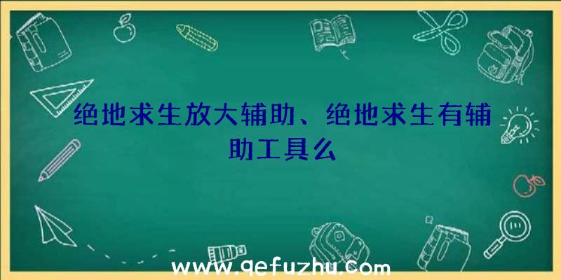 绝地求生放大辅助、绝地求生有辅助工具么