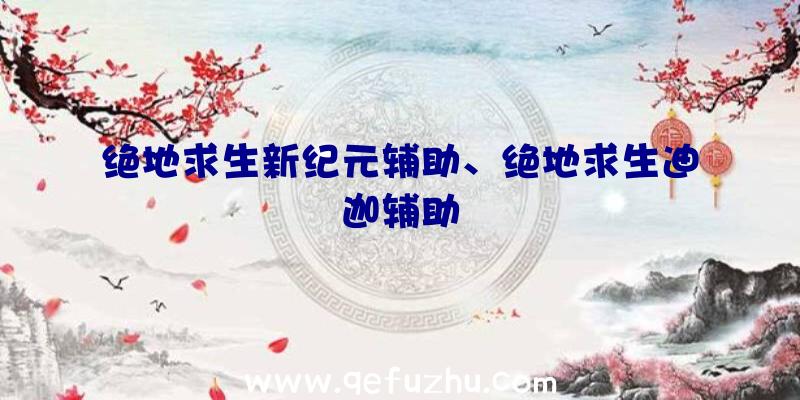 绝地求生新纪元辅助、绝地求生迪迦辅助