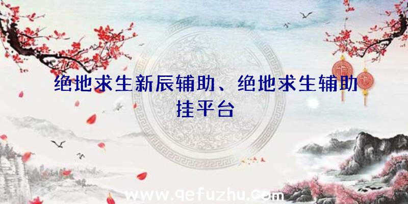 绝地求生新辰辅助、绝地求生辅助挂平台