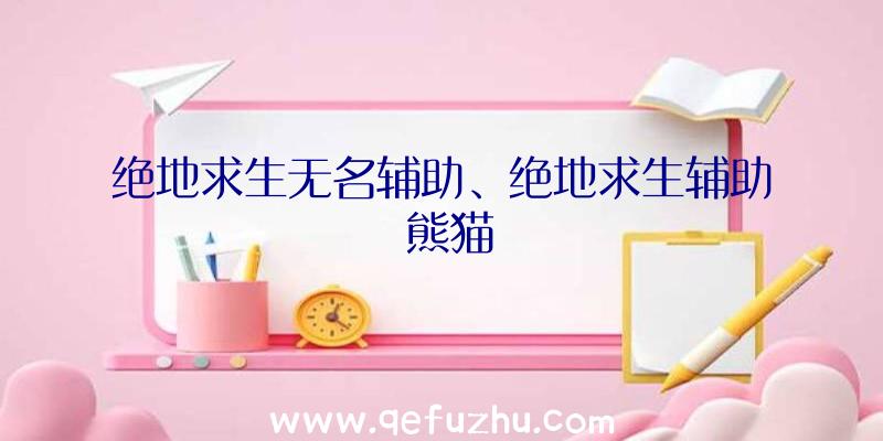 绝地求生无名辅助、绝地求生辅助