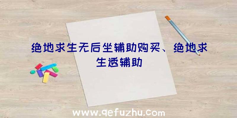 绝地求生无后坐辅助购买、绝地求生透辅助
