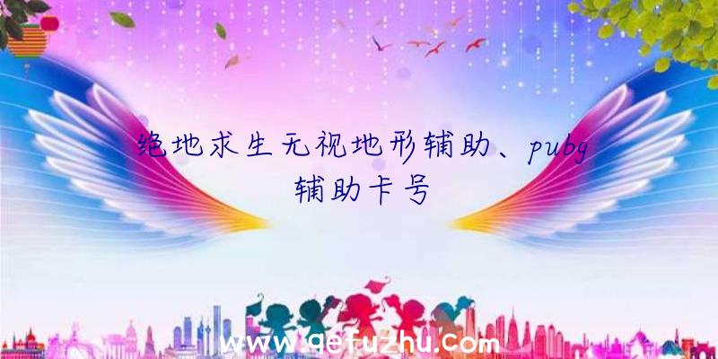 绝地求生无视地形辅助、pubg辅助卡号