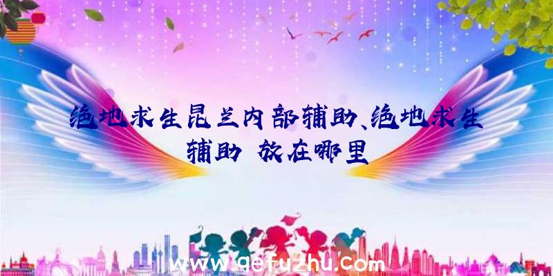 绝地求生昆兰内部辅助、绝地求生辅助