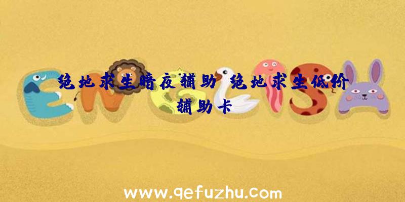 绝地求生暗夜辅助、绝地求生低价辅助卡