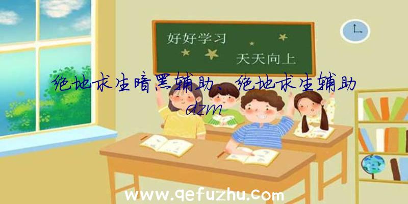 绝地求生暗黑辅助、绝地求生辅助dzm