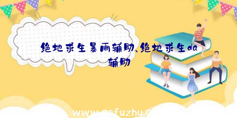 绝地求生暴雨辅助、绝地求生da辅助