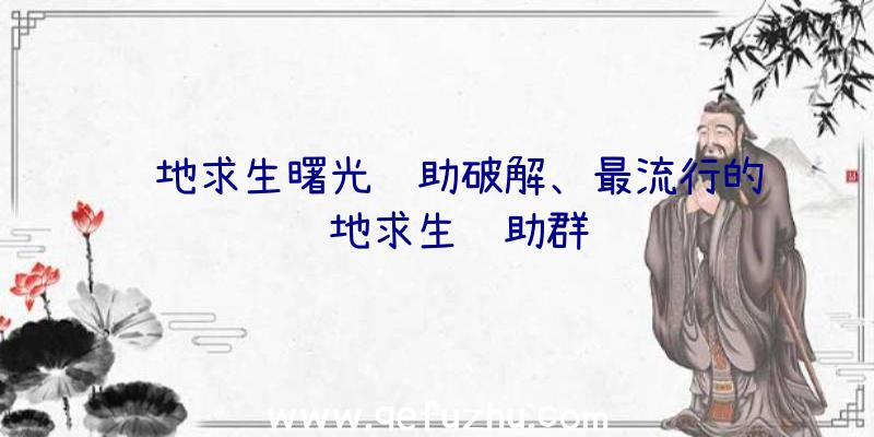 绝地求生曙光辅助破解、最流行的绝地求生辅助群