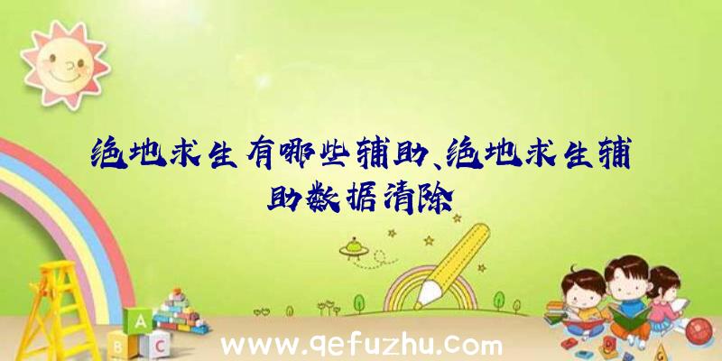 绝地求生有哪些辅助、绝地求生辅助数据清除