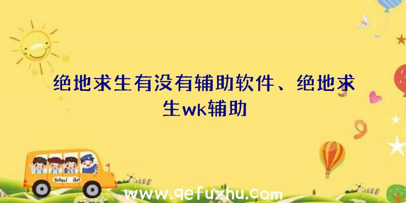 绝地求生有没有辅助软件、绝地求生wk辅助
