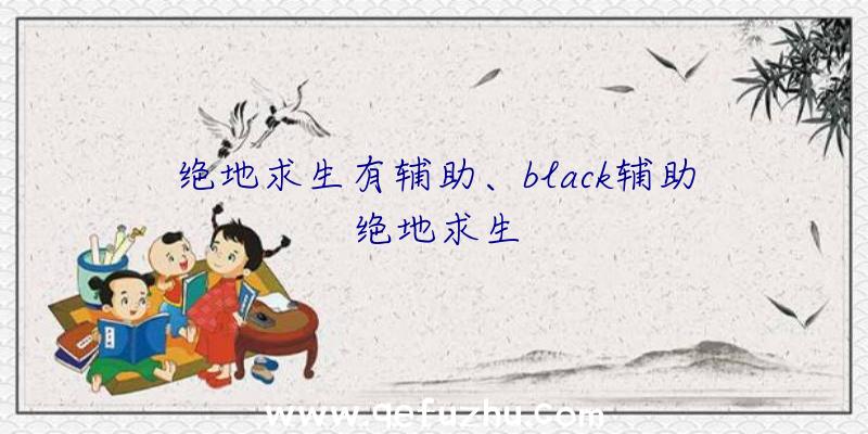 绝地求生有辅助、black辅助绝地求生