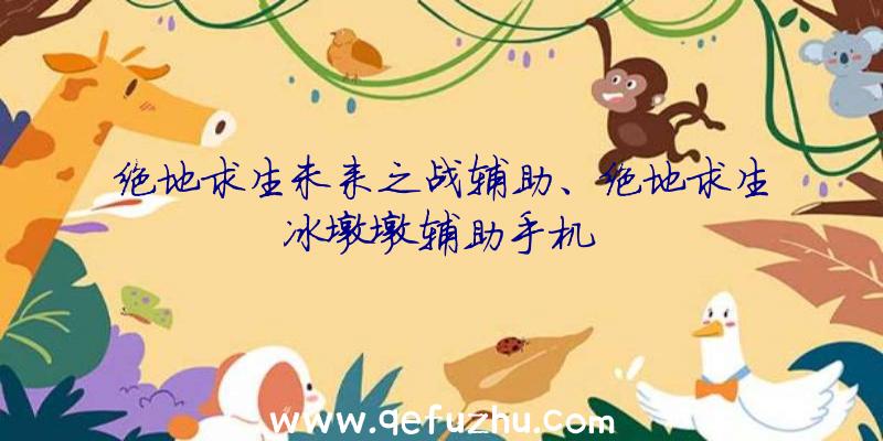 绝地求生未来之战辅助、绝地求生冰墩墩辅助手机