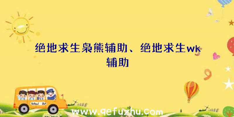 绝地求生枭熊辅助、绝地求生wk辅助
