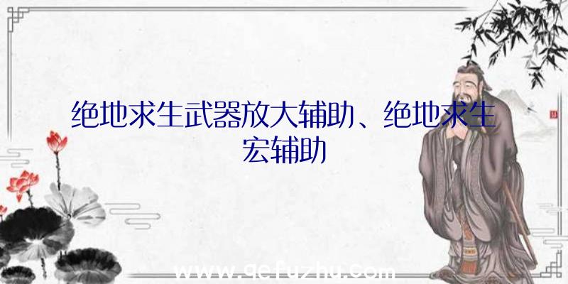 绝地求生武器放大辅助、绝地求生宏辅助
