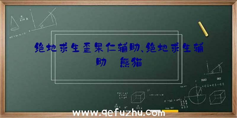 绝地求生歪果仁辅助、绝地求生辅助
