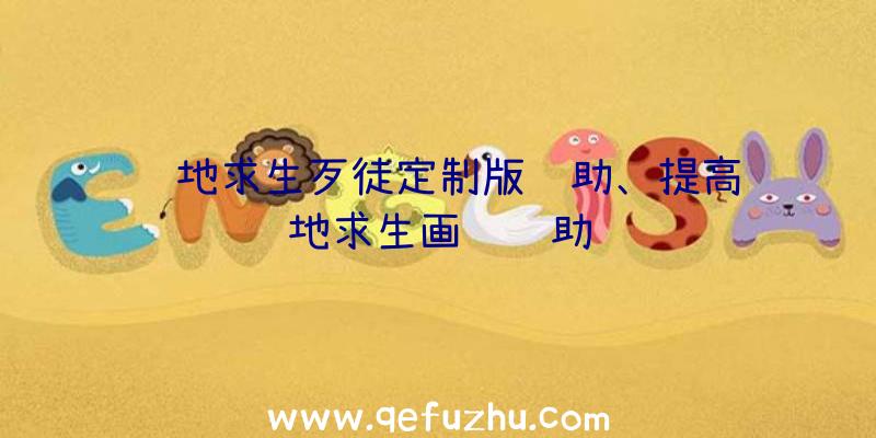 绝地求生歹徒定制版辅助、提高绝地求生画质辅助
