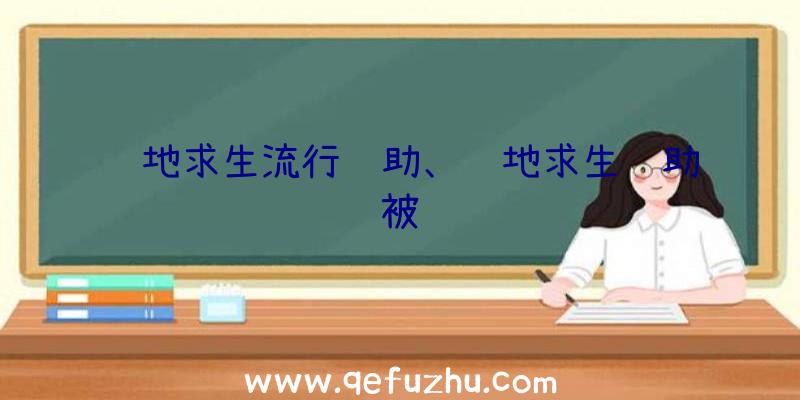 绝地求生流行辅助、绝地求生辅助被骗
