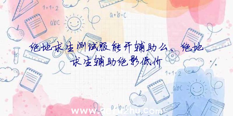 绝地求生测试服能开辅助么、绝地求生辅助绝影低价
