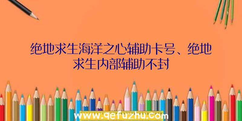 绝地求生海洋之心辅助卡号、绝地求生内部辅助不封