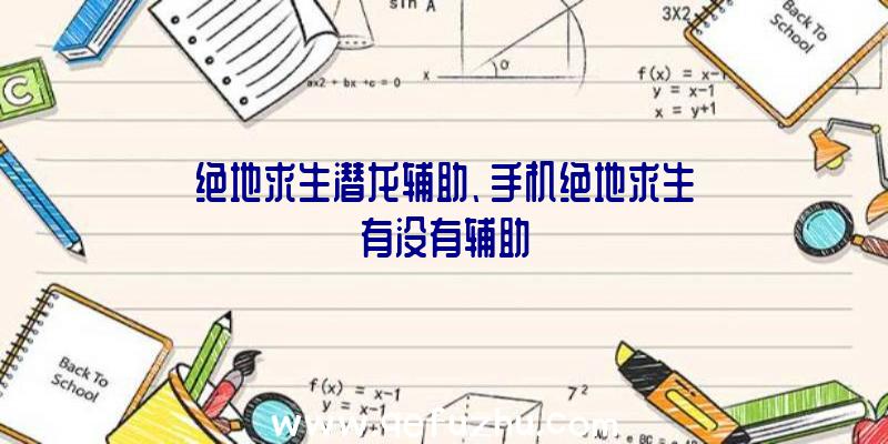 绝地求生潜龙辅助、手机绝地求生有没有辅助