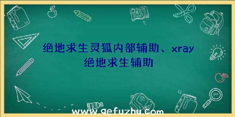 绝地求生灵狐内部辅助、xray绝地求生辅助