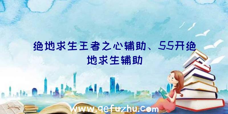 绝地求生王者之心辅助、55开绝地求生辅助