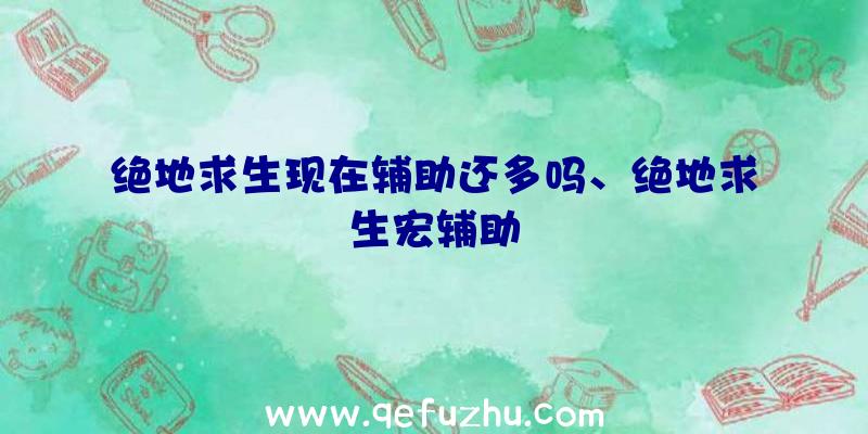 绝地求生现在辅助还多吗、绝地求生宏辅助