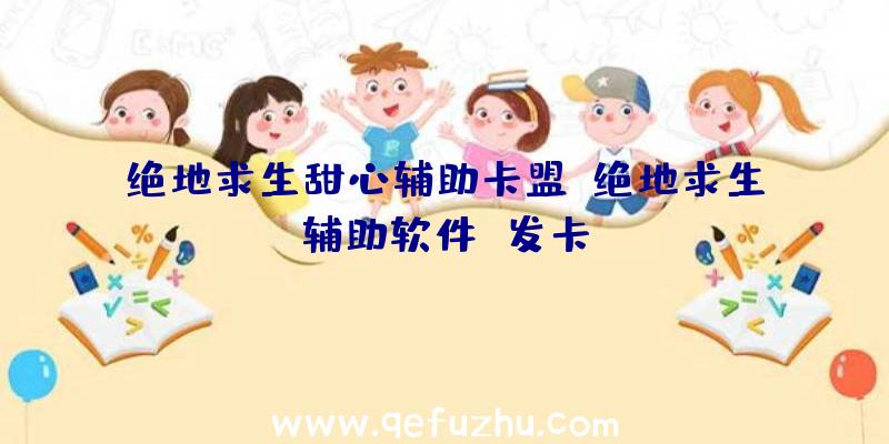 绝地求生甜心辅助卡盟、绝地求生辅助软件