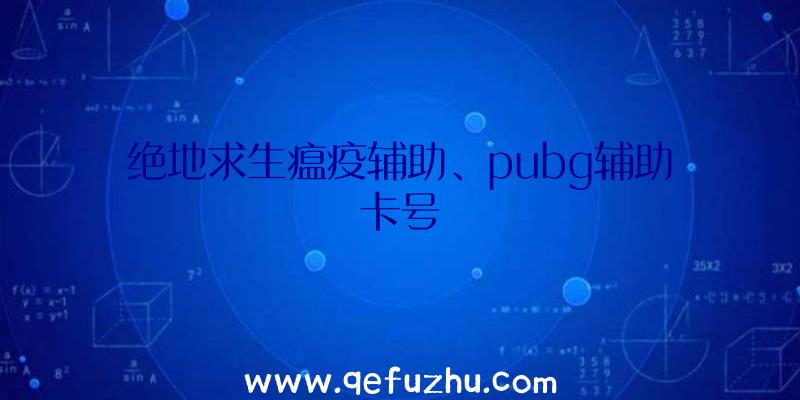 绝地求生瘟疫辅助、pubg辅助卡号